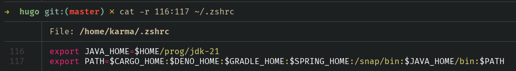 cat /en/posts/2023-07-02_instalacja_javy21/cat_zshrc.png