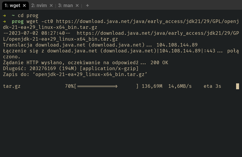 wget.png /en/posts/2023-07-02_instalacja_javy21/wget.png