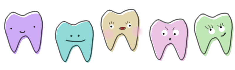 /posts/stomatolog-diagram/zeby.png /posts/stomatolog-diagram/zeby.png